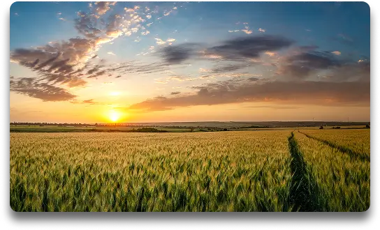 Agriculture