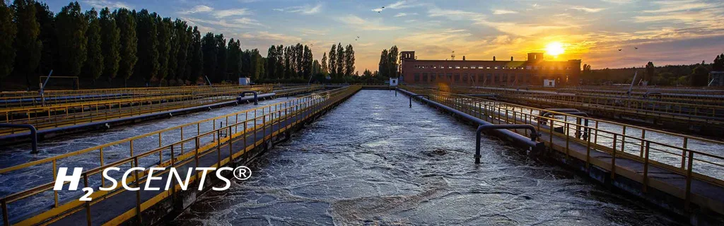 H2Scents